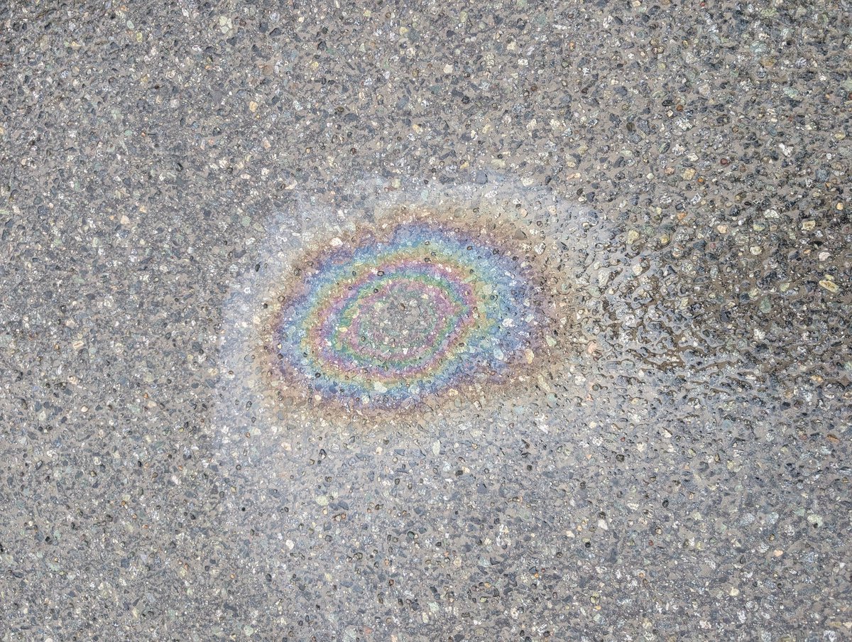 🩷🦴🫀SLEP1/JUNIE 🫁🫀🦴🩷 tweet media