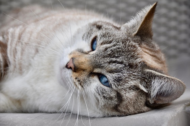 Philip Hensley tweet media