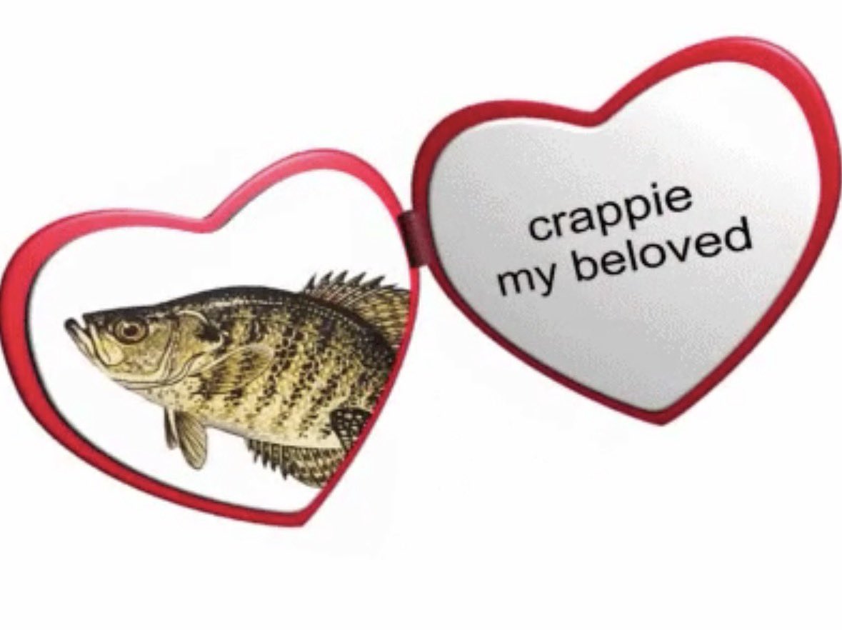 Mullet on ADA tweet media