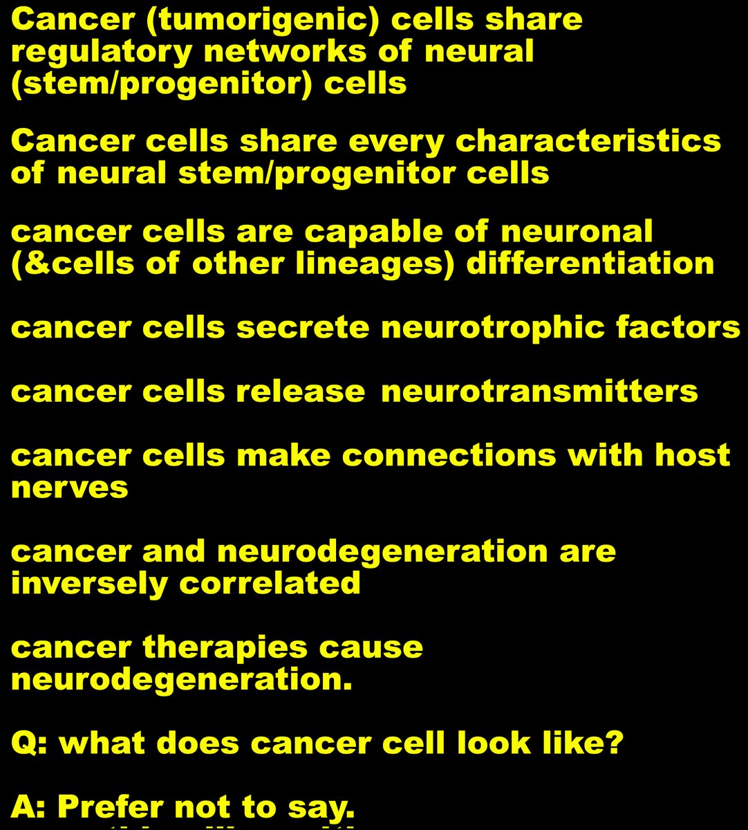 Ying Cao tweet media