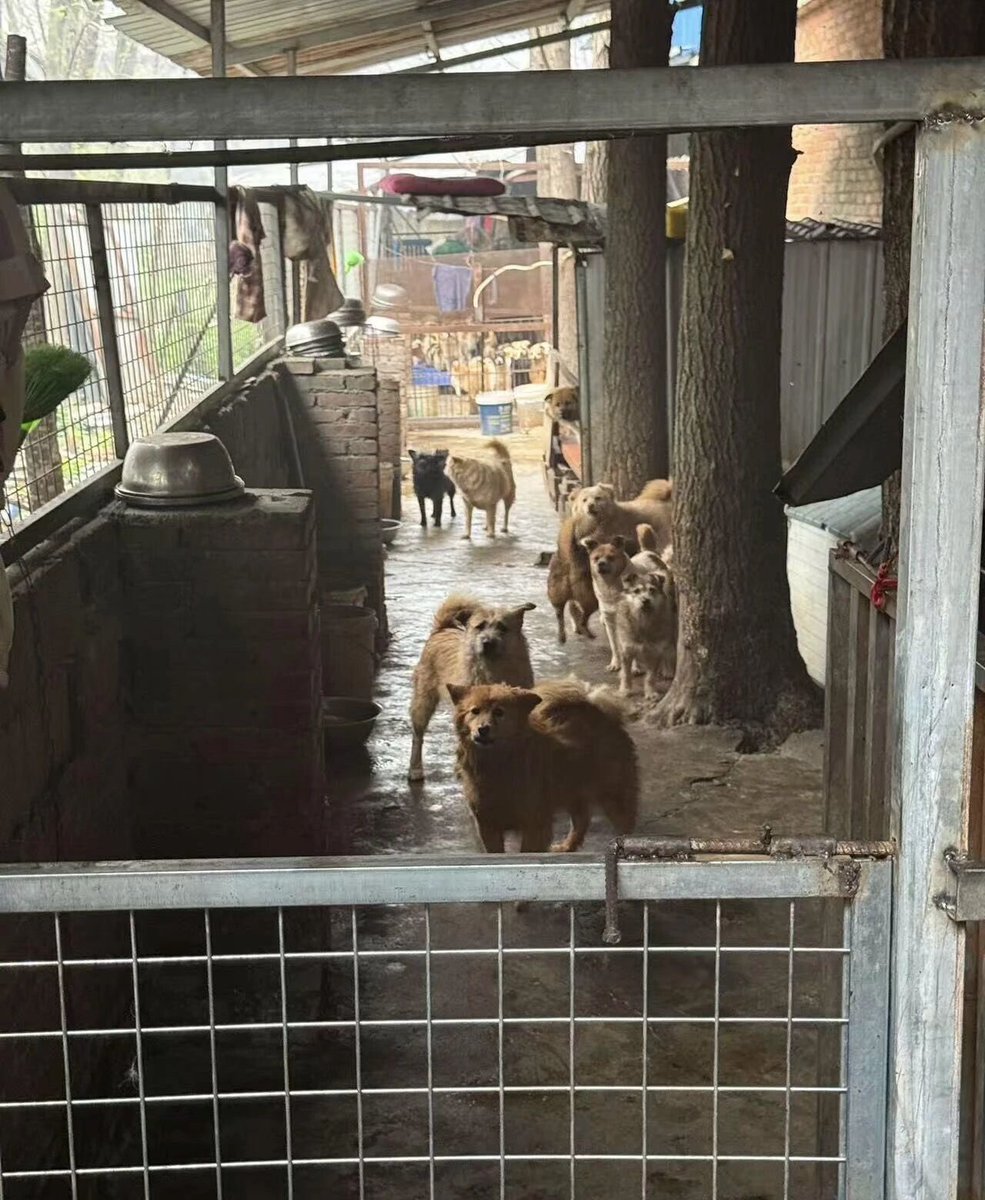 LOYAL路遥 tweet media