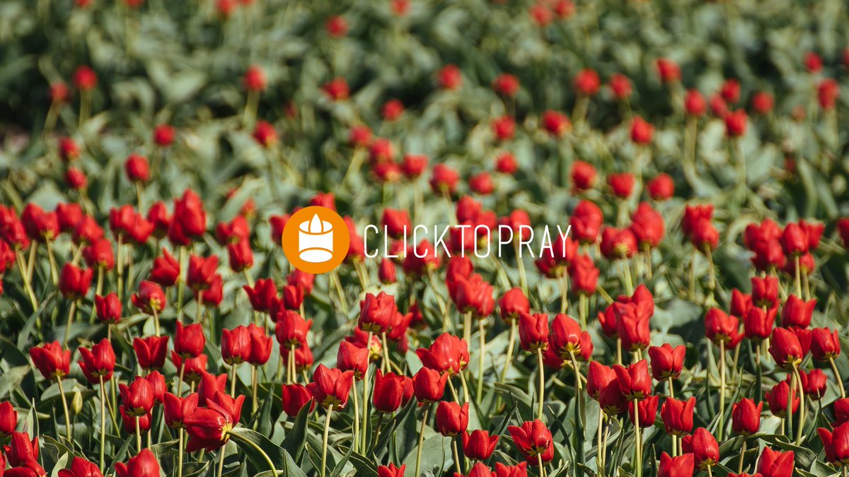 Click To Pray | The Pope Video tweet media