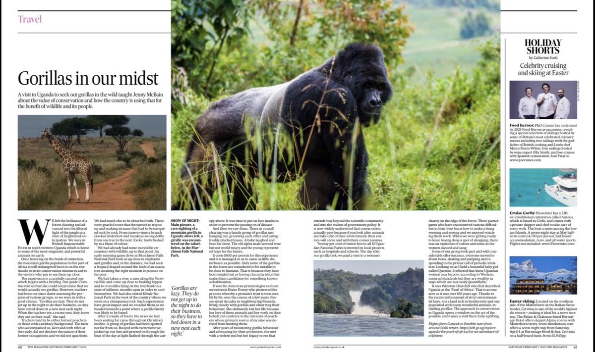 Gessa Simplicious tweet media