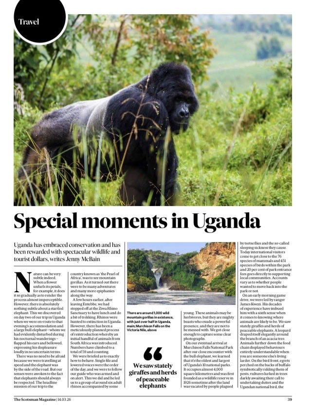 Gessa Simplicious tweet media