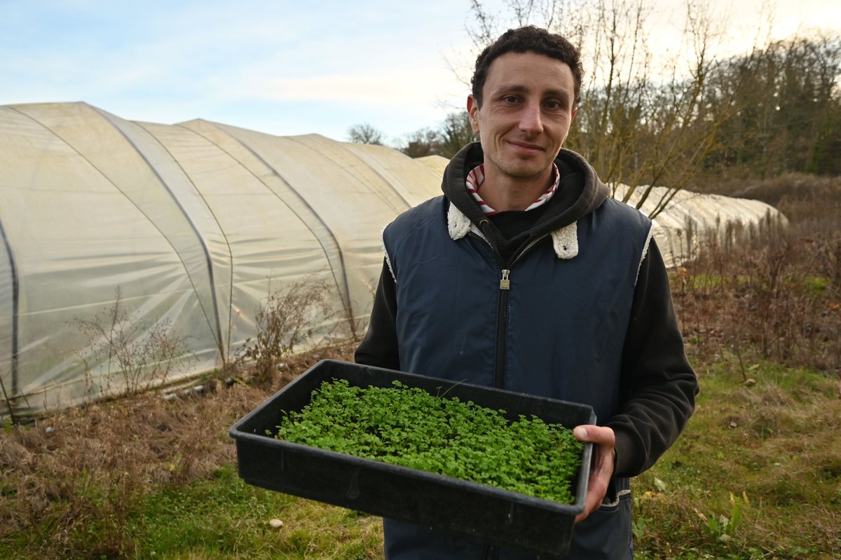 Département du Val d'Oise tweet media