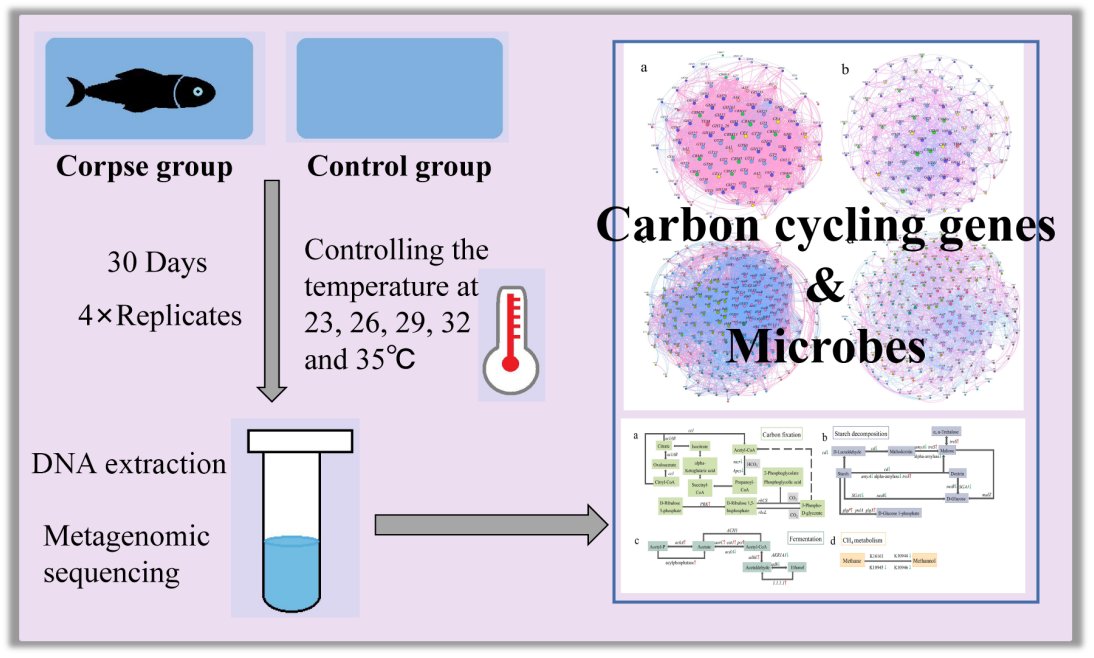 New Community tweet media