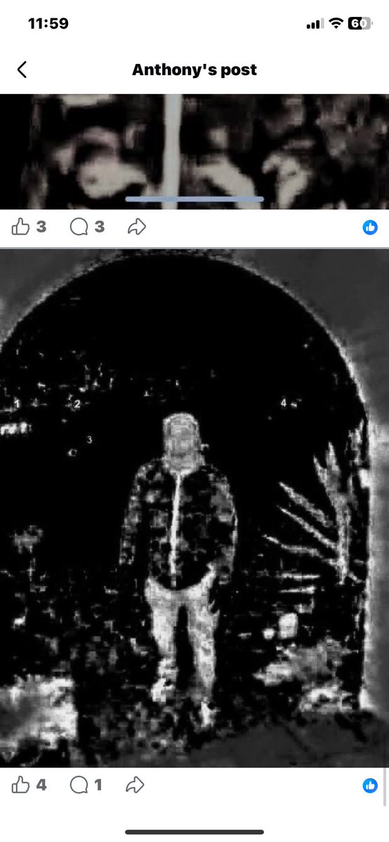 Carolyn McGee tweet media