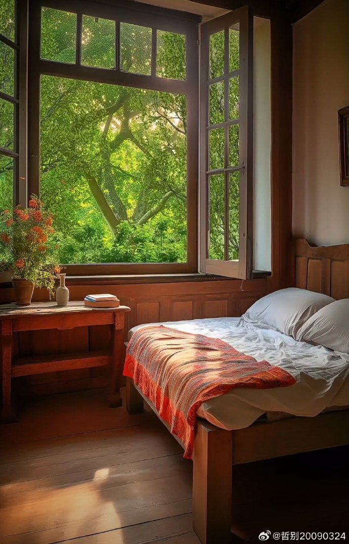 Grant Newman tweet media