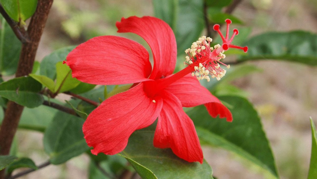 Lidiya1407 tweet media