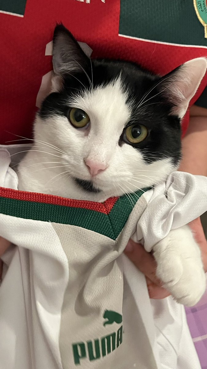 danze 🇲🇦 tweet media