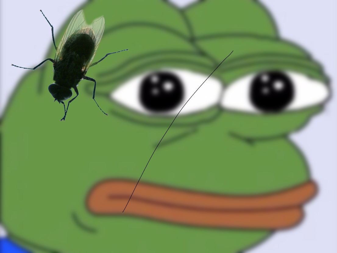 Sneedwick 🇺🇸 tweet media