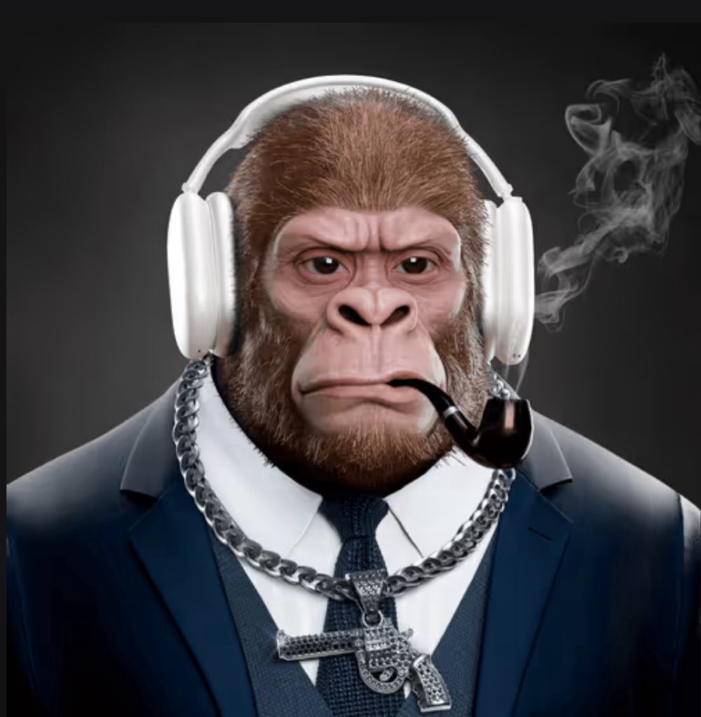 PackePilsner tweet media