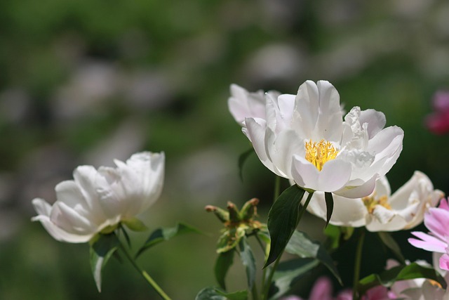 Anna Miller tweet media