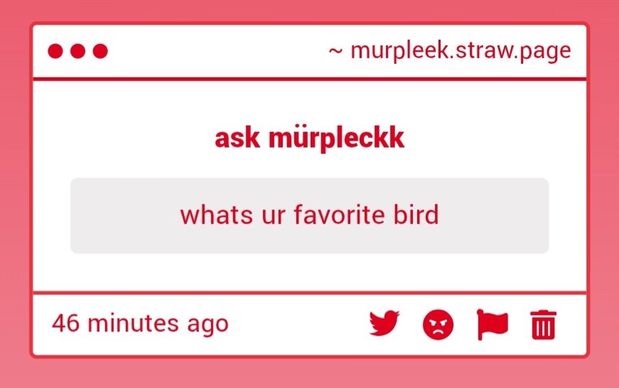 mürpleck tweet media