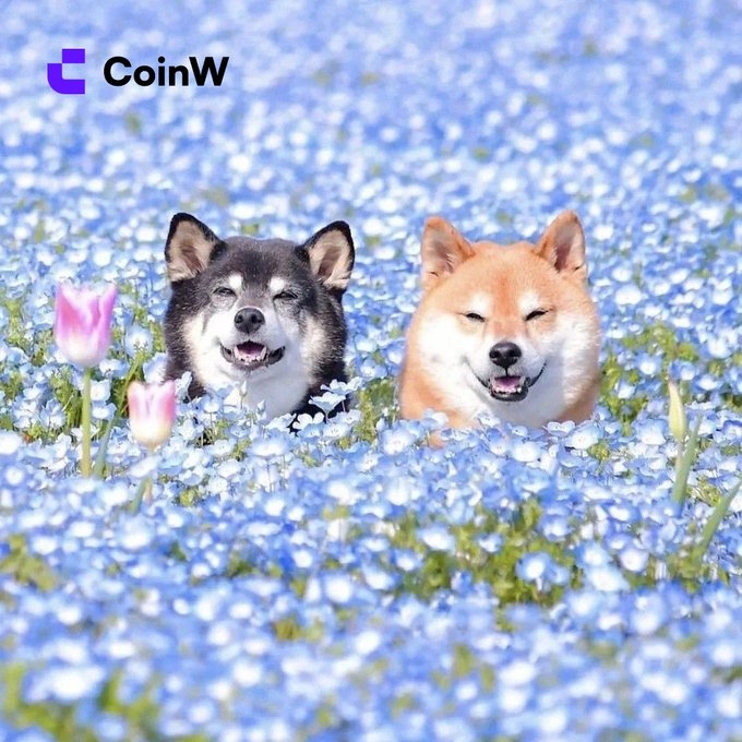 CoinW tweet media