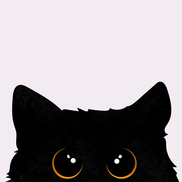 Cloyd Marcon tweet media