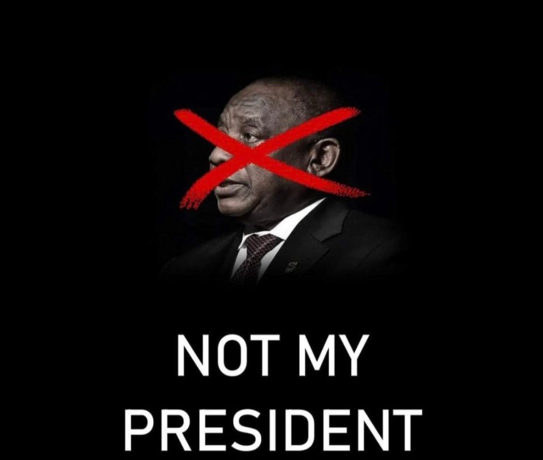 Curly Sue tweet media