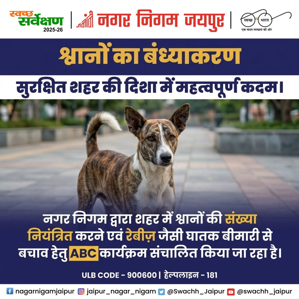Swachh_Jaipur's tweet image. श्वानों का बंध्याकरण — सुरक्षित शहर की दिशा में महत्वपूर्ण कदम।
नगर निगम जयपुर द्वारा ABC कार्यक्रम के माध्यम से श्वानों की संख्या नियंत्रण एवं रेबीज से बचाव सुनिश्चित किया जा रहा है। 🐾♻️

#SwachhJaipur #ABCProgram 

@RajCMO | @LSG_Rajasthan | @DcDmJaipur | @svoruganti1466