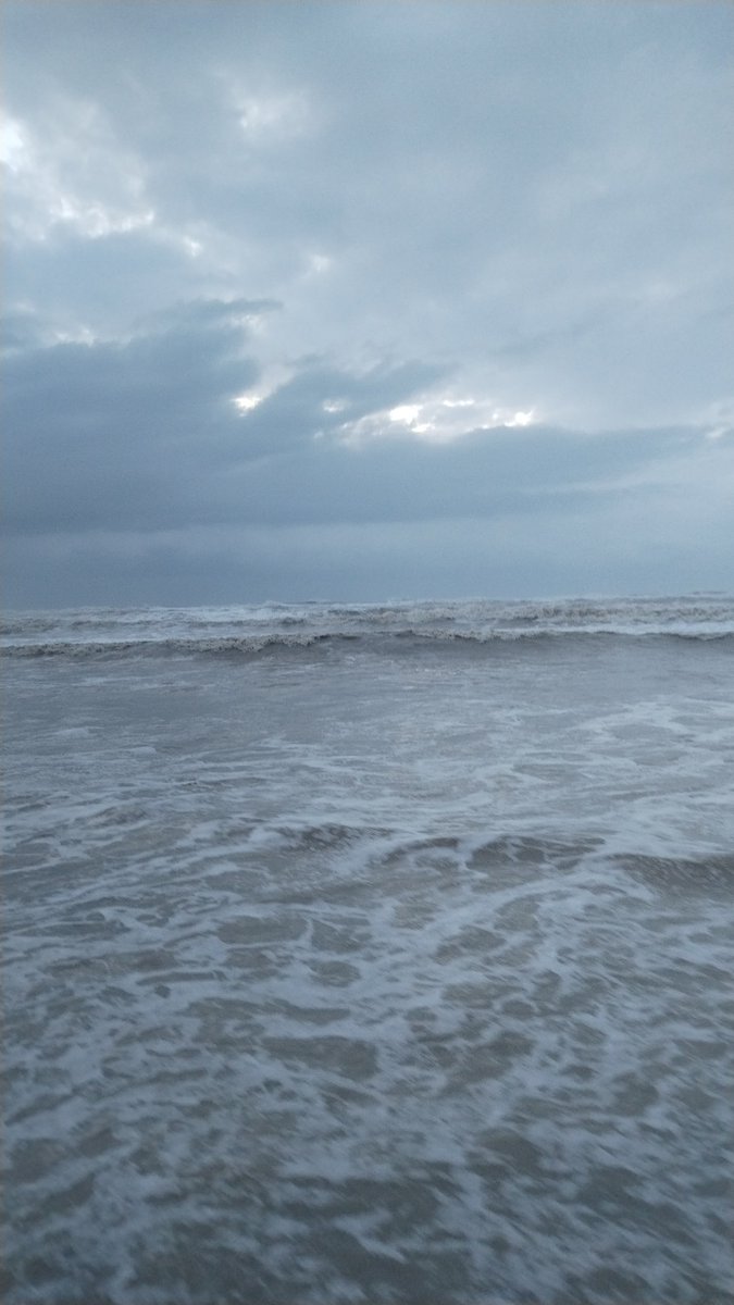 ghirigoro rogighiro  tweet media