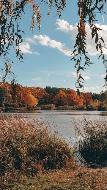 Jason Rat tweet media