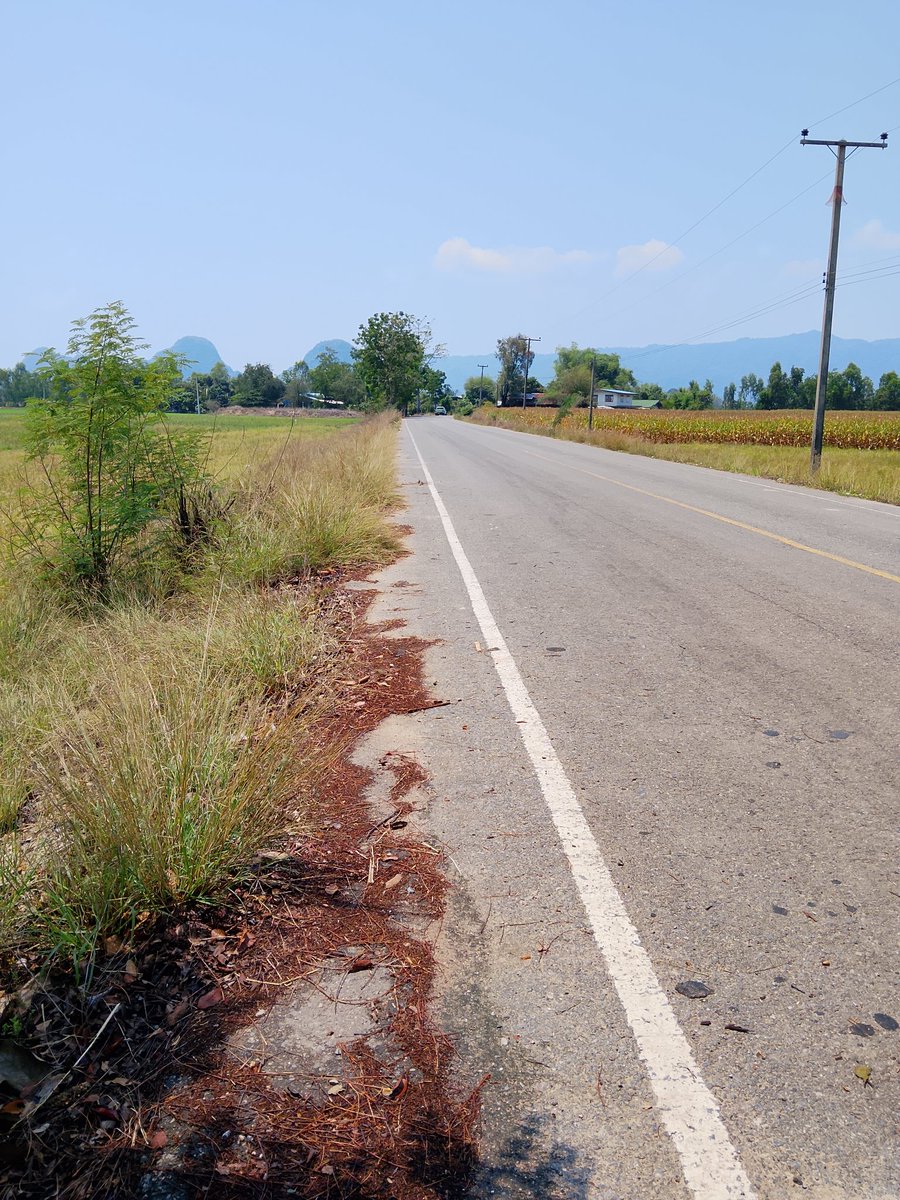 Sunatum Kongkay tweet media