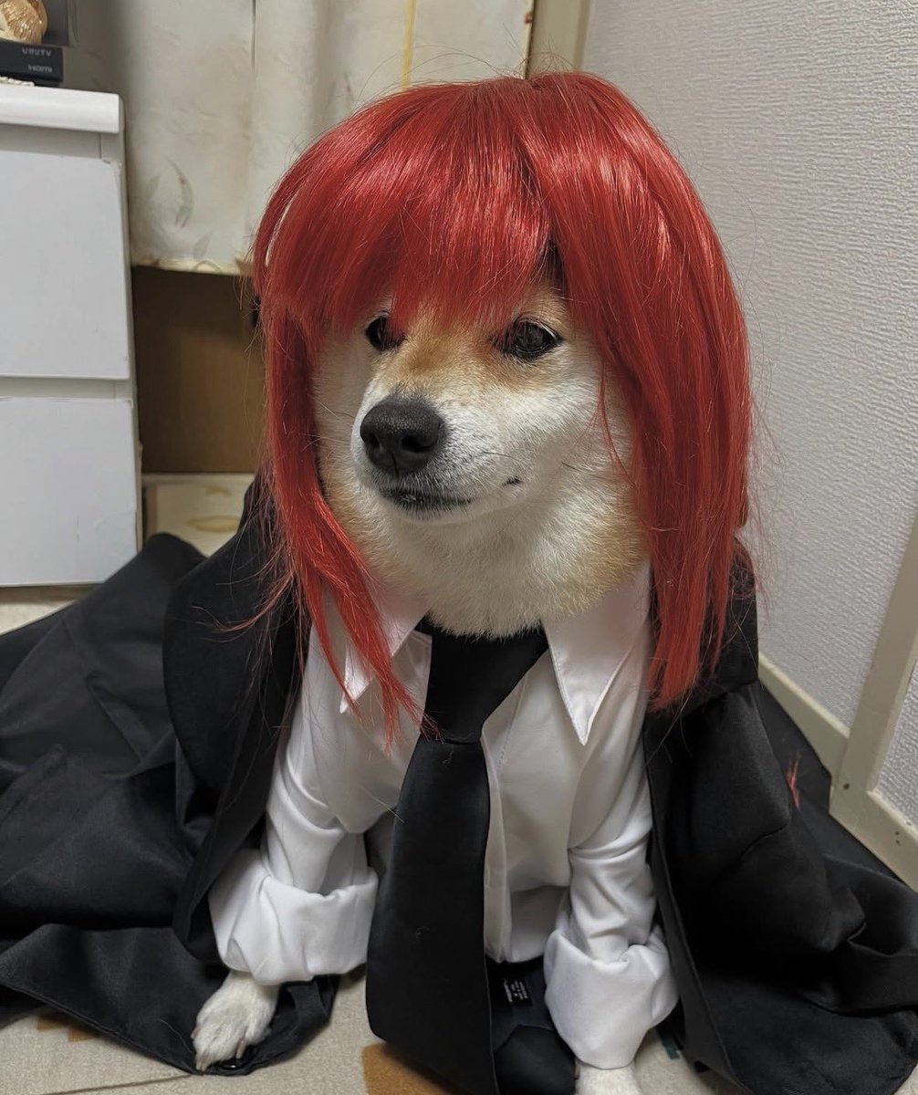 victoria ♡ tweet media