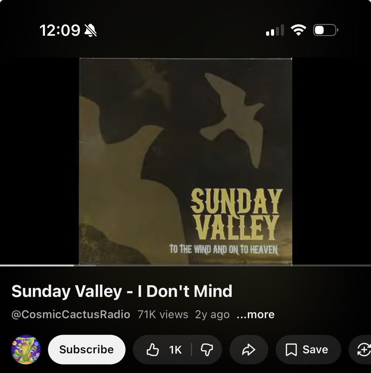 Tortoiseshell Costas tweet media