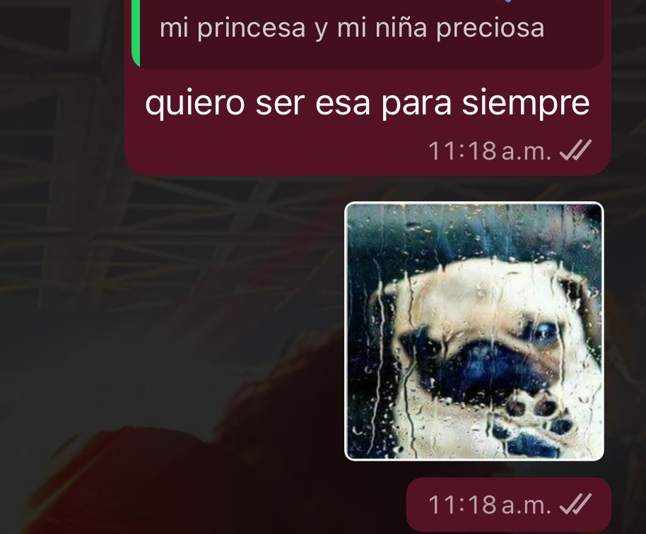 jedavaloss 🌙 tweet media