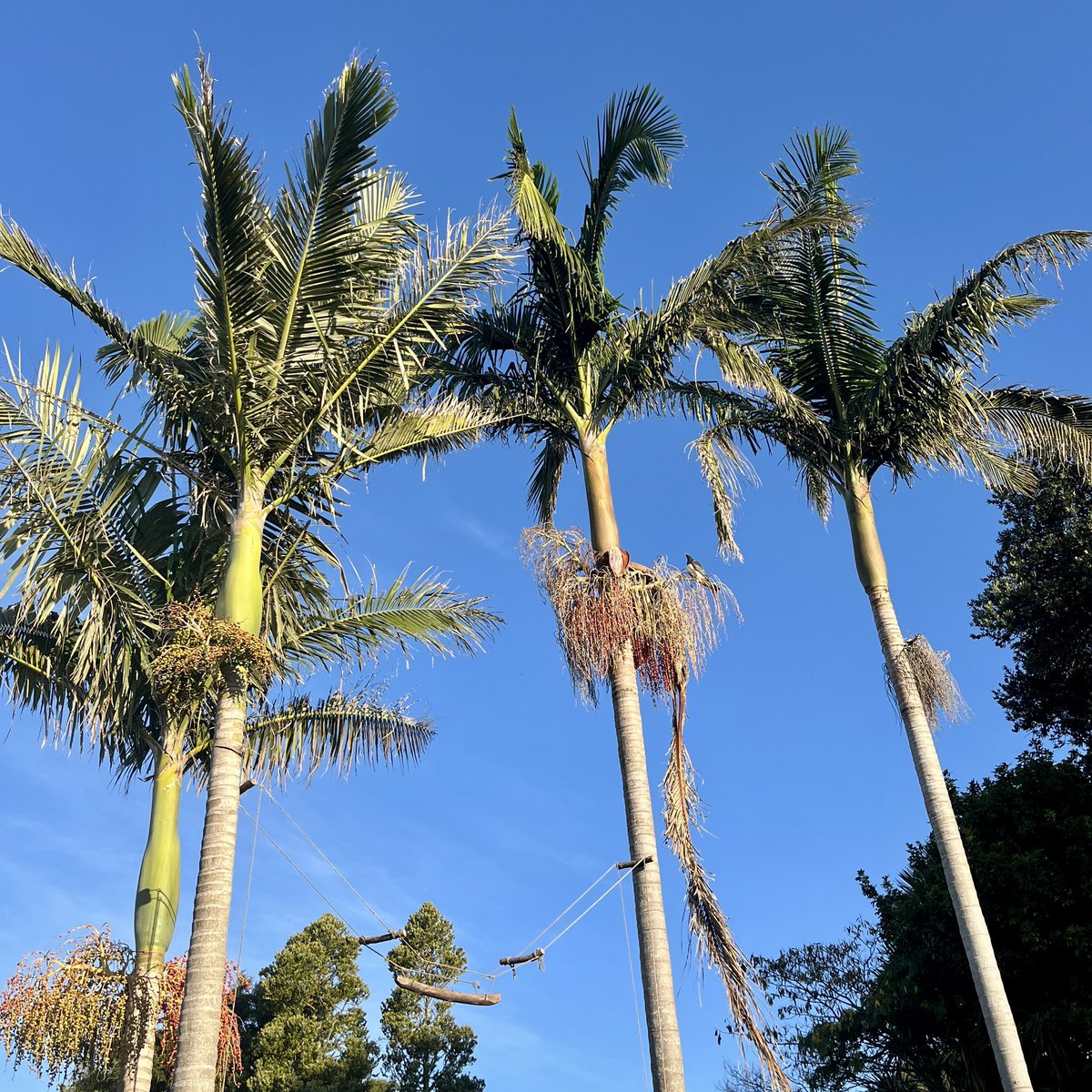 Benjamin tweet media