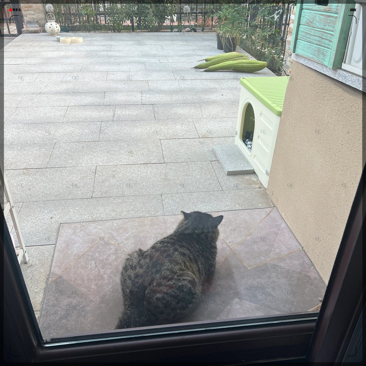 Aniceto C. Castro tweet media