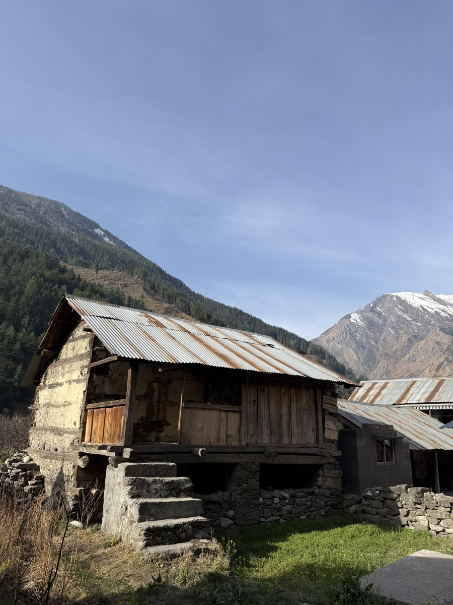 Avantika / Jill Of All Trades tweet media