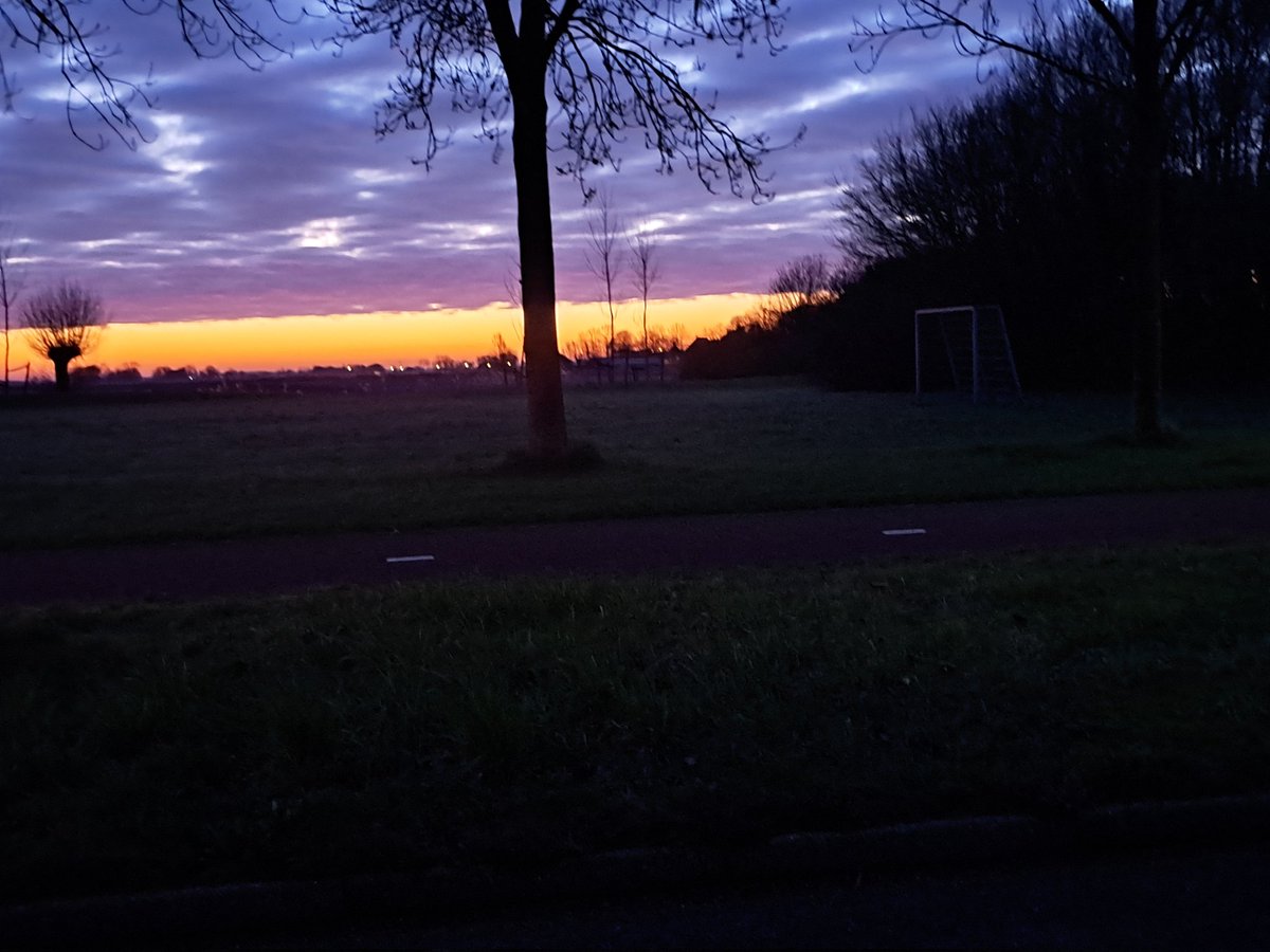 Sieger van Wijk tweet media