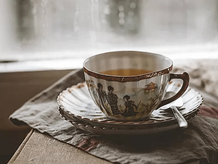 andrea gamboa tweet media