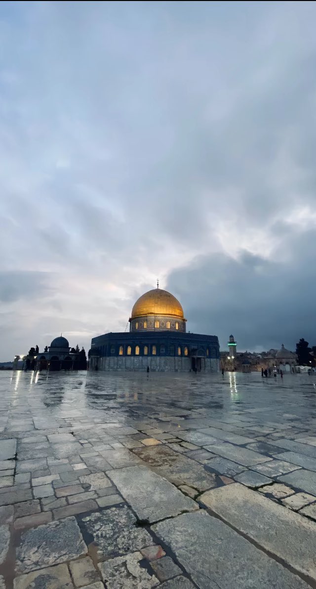 عبود بطاح🇵🇸 tweet media