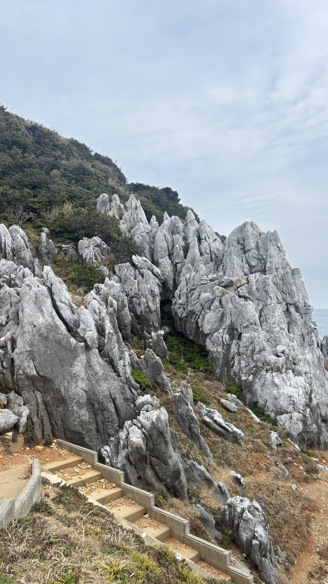 じゅん🕊️ tweet media