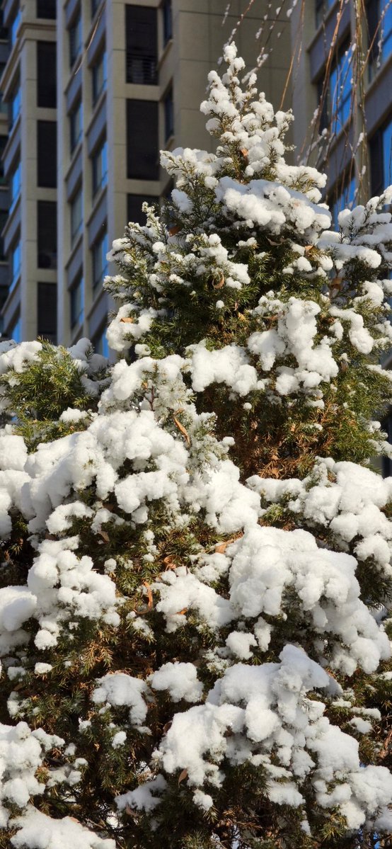 Ice Universe tweet media