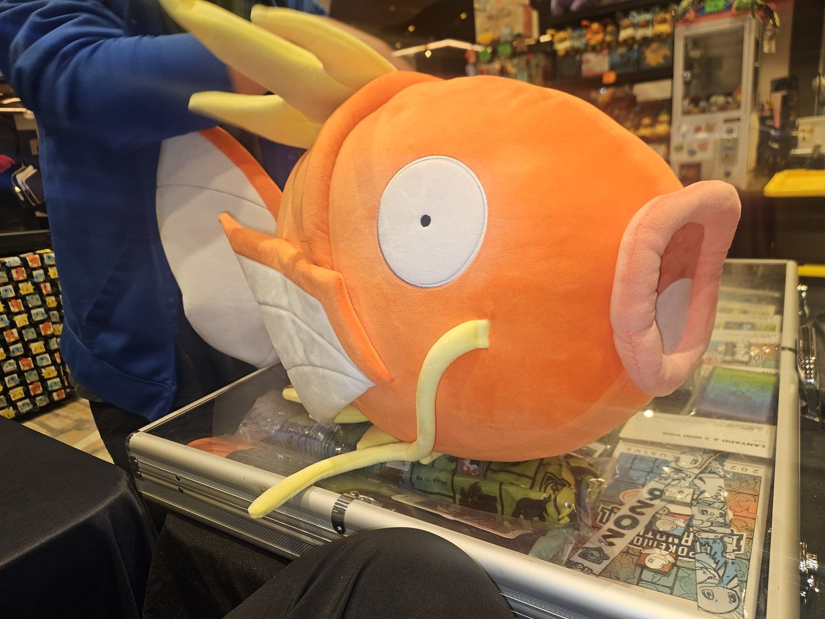 SparkyxIGG tweet media