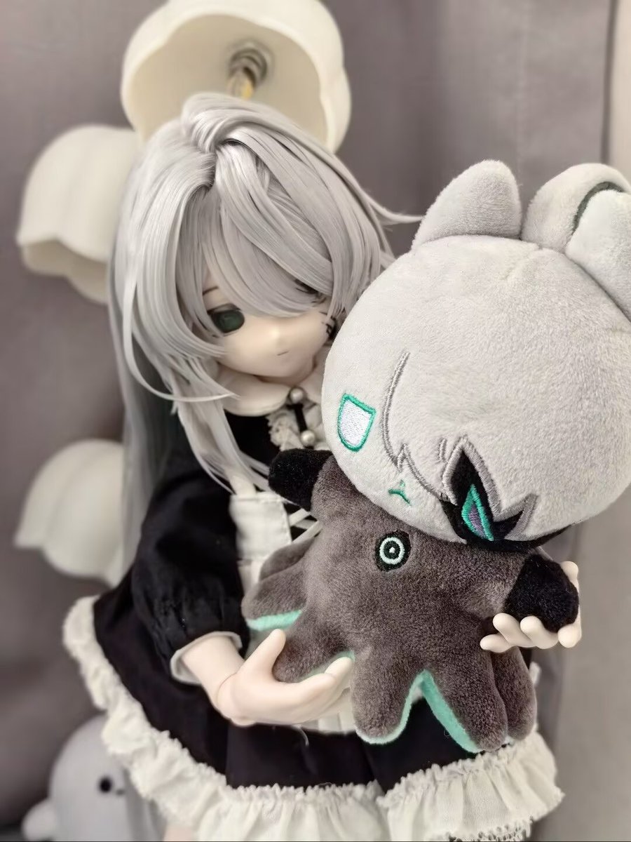 冰鲜赤贝片 tweet media