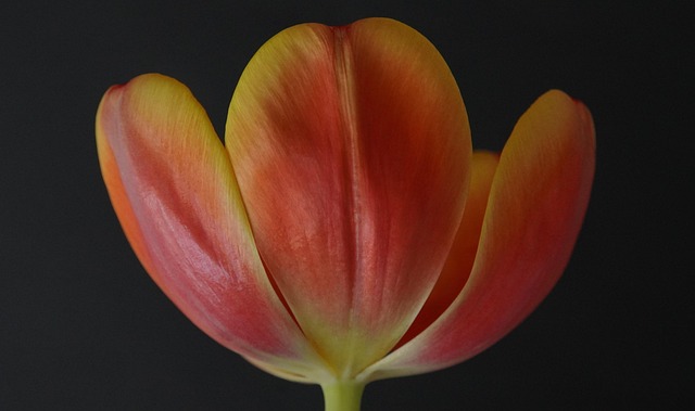 Eric Lambert tweet media