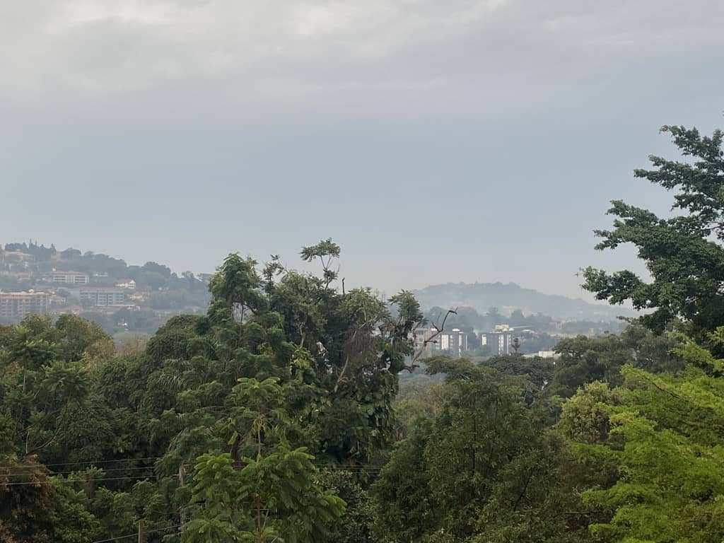 Dr_JibCares's tweet image. 🌳 Congratulations #Kampala among other 283 cities in 26 countries recognized as 2025 Tree Cities of the World!

#Urban forestry increases #biodiversity, filter pollutants, reduce carbon emissions🌳✨

Read more bit.ly/3Njki9v

 @KCCAUG @Buzeki_Sharifah @kyofakabuye2