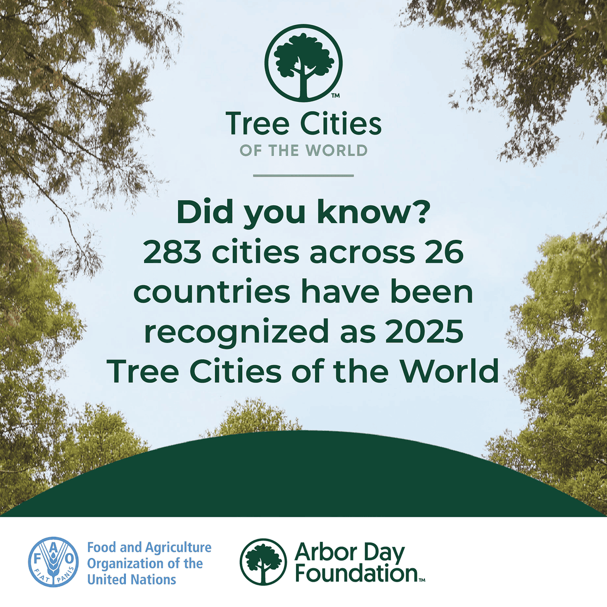 Dr_JibCares's tweet image. 🌳 Congratulations #Kampala among other 283 cities in 26 countries recognized as 2025 Tree Cities of the World!

#Urban forestry increases #biodiversity, filter pollutants, reduce carbon emissions🌳✨

Read more bit.ly/3Njki9v

 @KCCAUG @Buzeki_Sharifah @kyofakabuye2