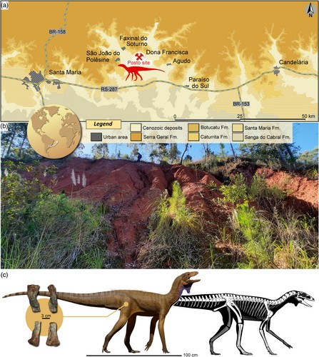 PaleoGalli tweet media