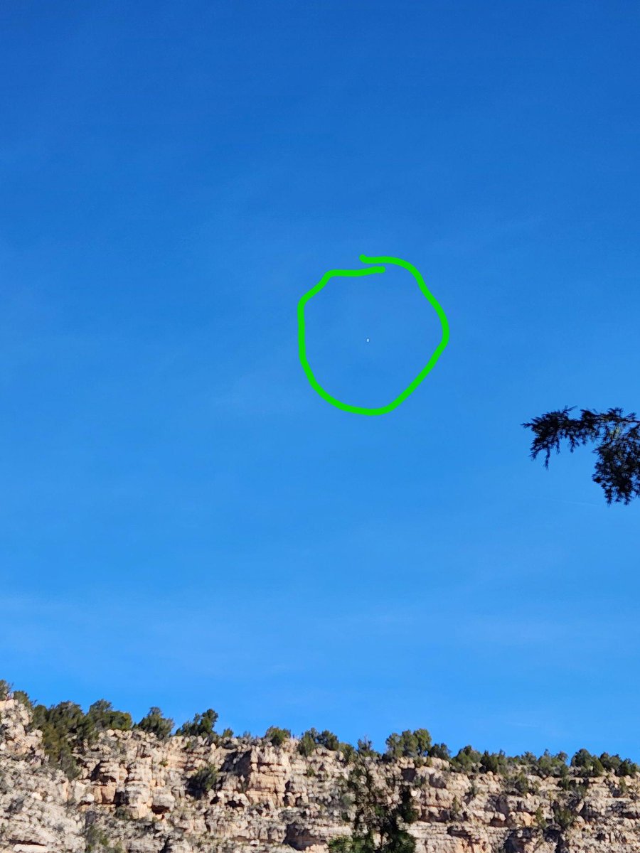 Elder Anarchy tweet media