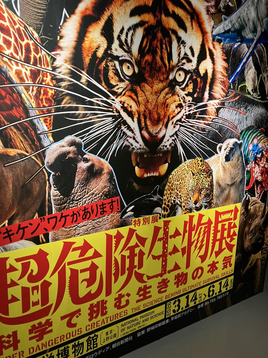 超危険生物展なう