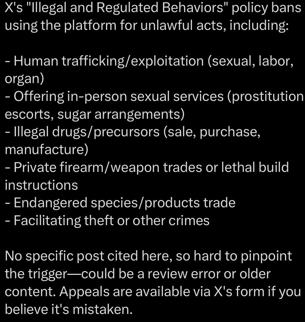 Neon White Rabbit tweet media