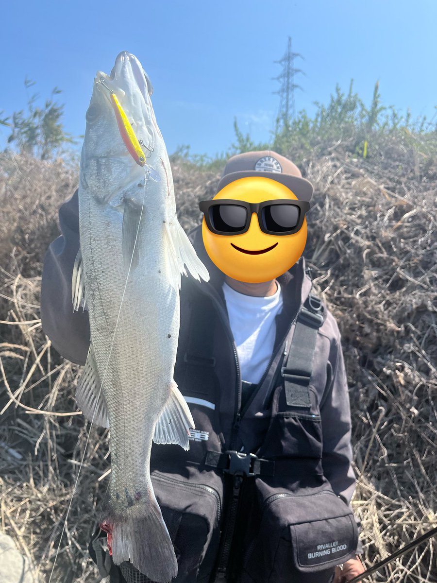 大内紀幸 tweet media