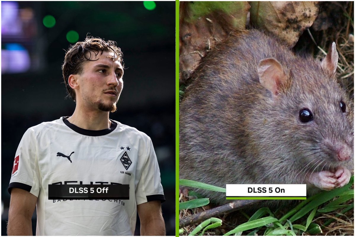 FIPPSIEHARTMANN tweet media