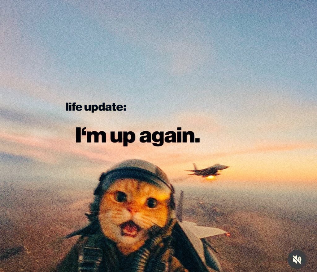 🆁🅰🆉🅲🅾🅳🅴 tweet media