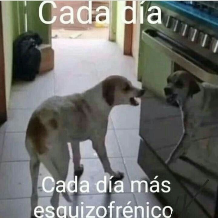 Ohtani y que entrenando el swing 637282 veces al día

Judge dique bateando 627282 veces al día 

Yamamoto y Skenes estudiando los bateadores 

Maikel en Twitter: