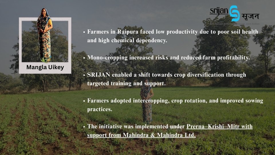 srijanofficial's tweet image. In Raipura, Mangla boosted income ~₹80K+, reduced risks &amp;amp; ended migration through crop diversification. Impacting 1500+ families across 25 villages with support from @MahindraRise &amp;amp; Mahindra Ltd under #Prerna–Krishi–Mitr. 

@anandmahindra 

#SRIJAN